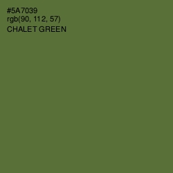 #5A7039 - Chalet Green Color Image